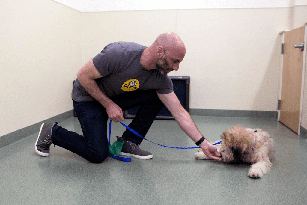 Dan Rubenstein with dog