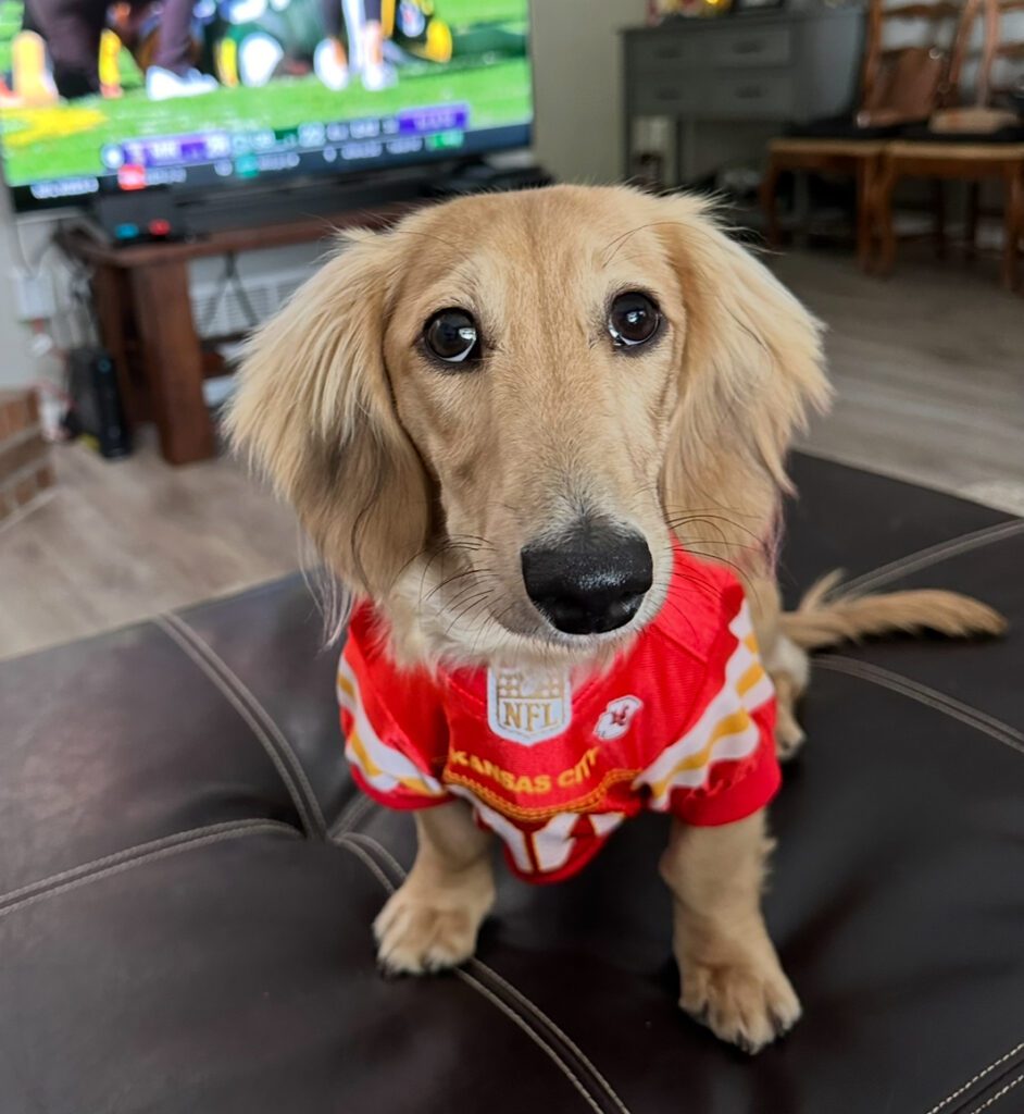 Elise's Pup